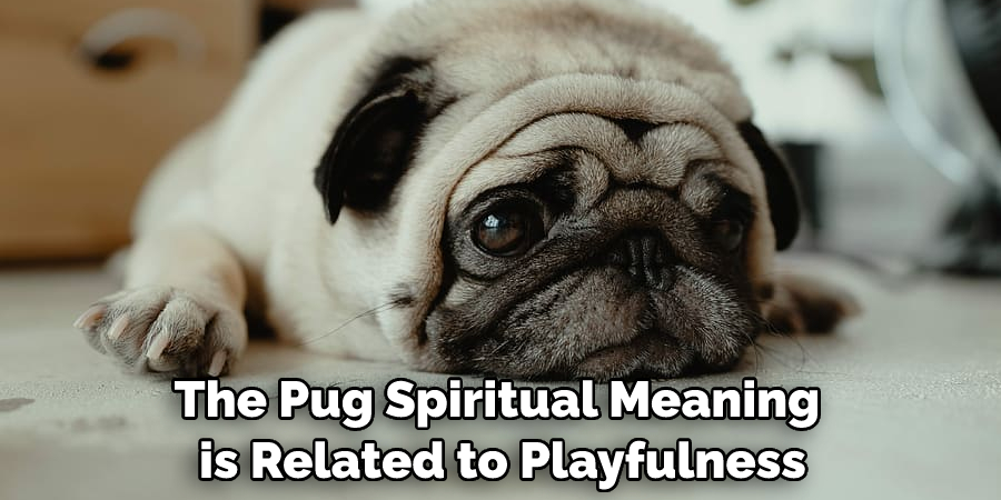 The Pug Spiritual Meaning is Related to Playfulness