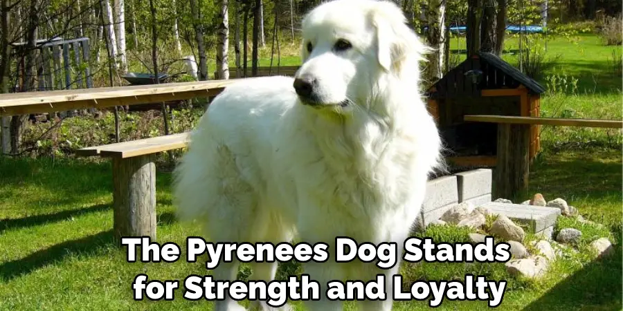 The Pyrenees Dog Stands for Strength and Loyalty