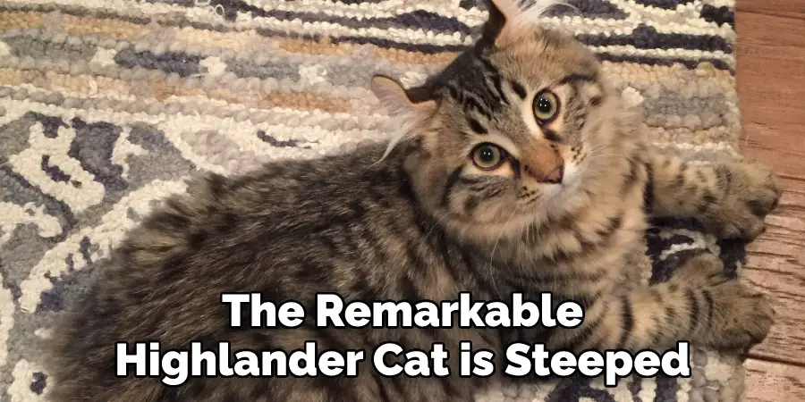 The Remarkable Highlander Cat is Steeped