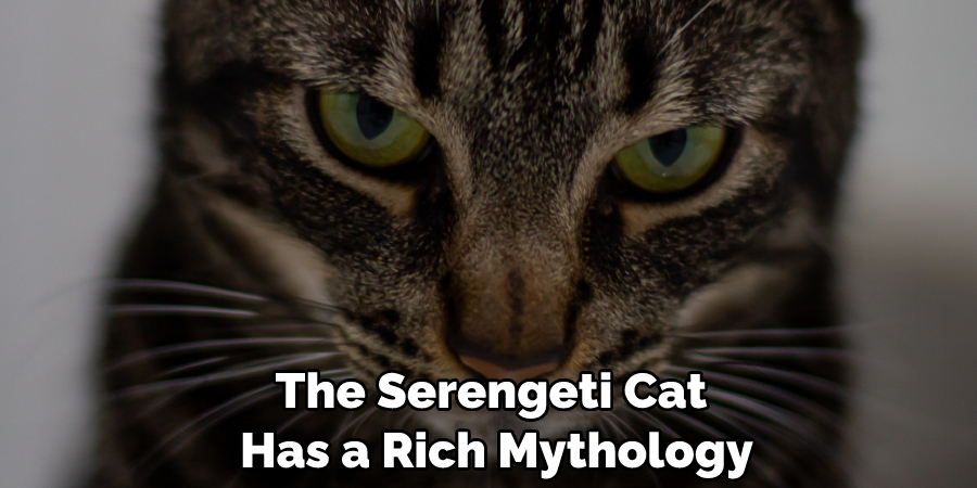 The Serengeti Cat Has a Rich Mythology