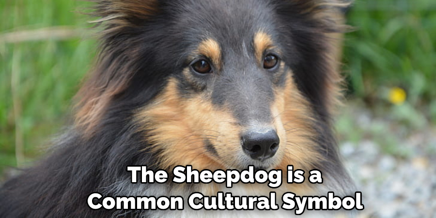  The Sheepdog is a Common Cultural Symbol