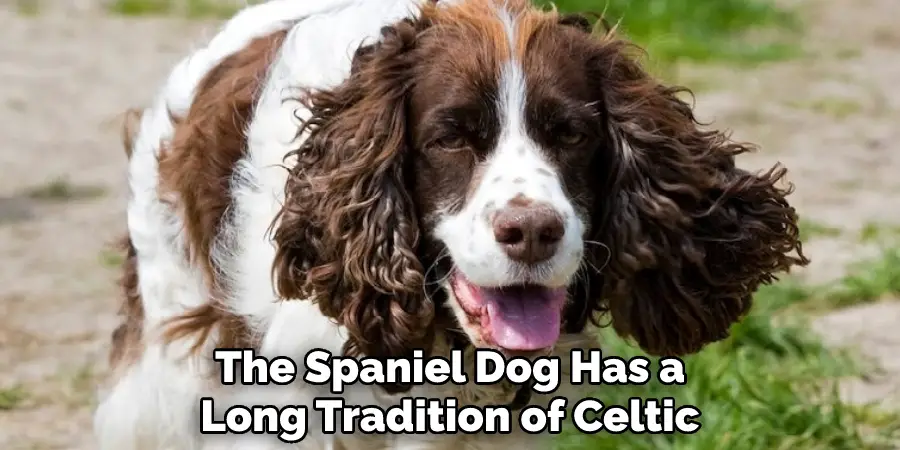 The Spaniel Dog Has a
Long Tradition of Celtic