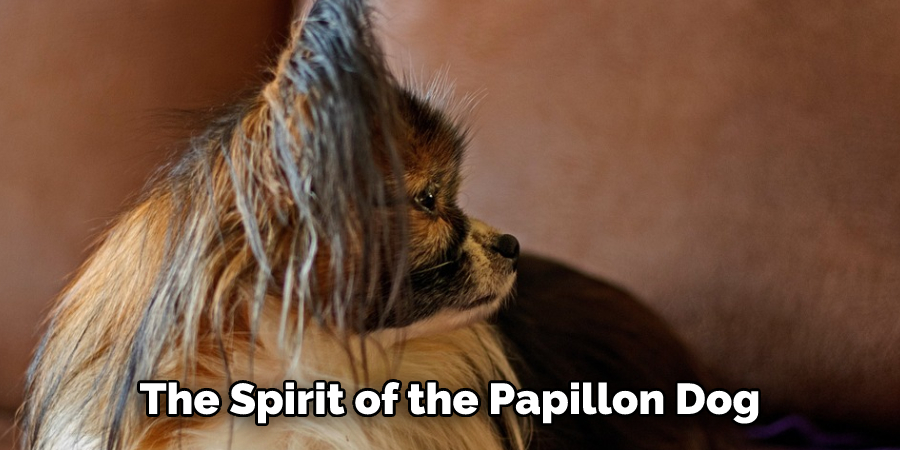The Spirit of the Papillon Dog