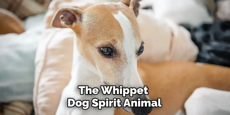 The Whippet Dog Spirit Animal