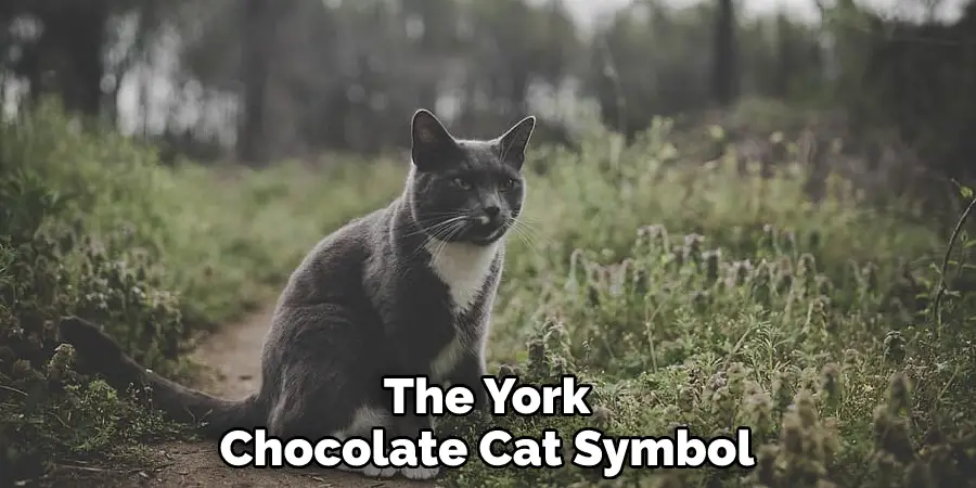 The York Chocolate Cat Symbol