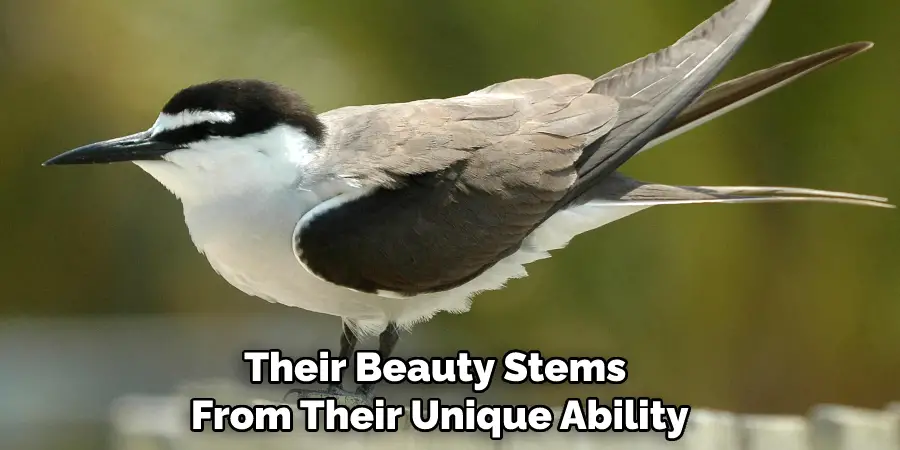 Their Beauty Stems From Their Unique Ability