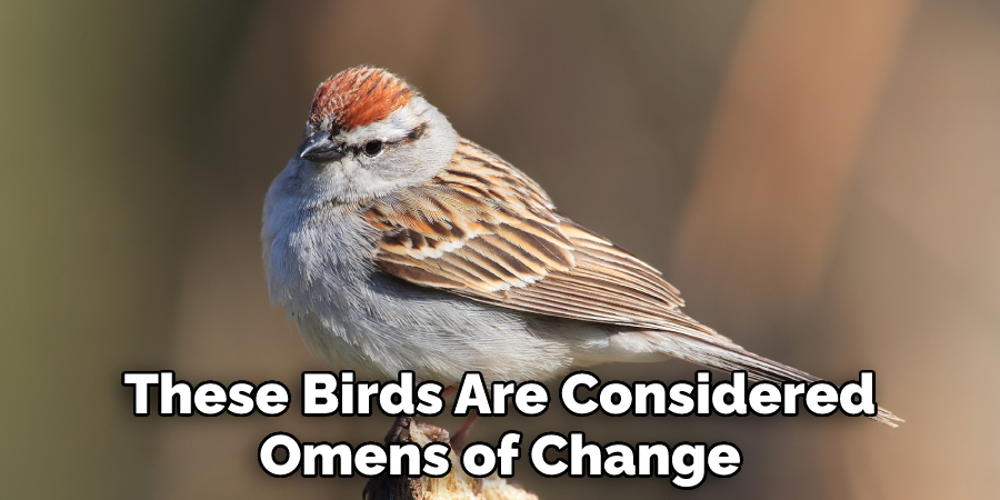 These Birds Are Considered Omens of Change
