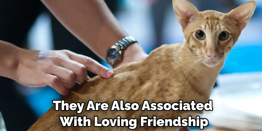 They Are Also Associated With Loving Friendship