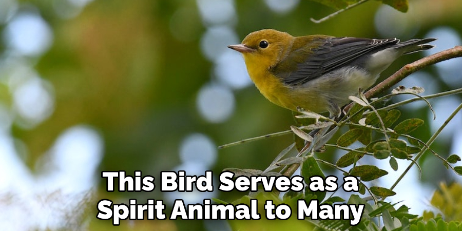This Bird Serves as a Spirit Animal to Many