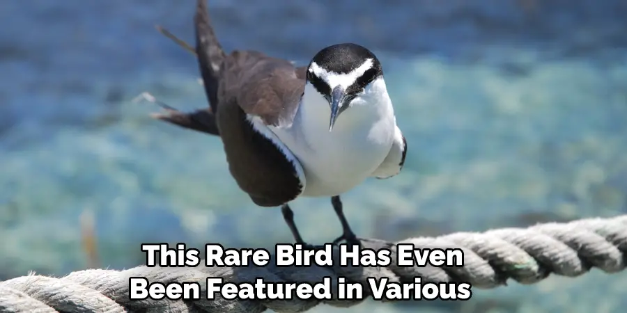  This Rare Bird Has Even Been Featured in Various 