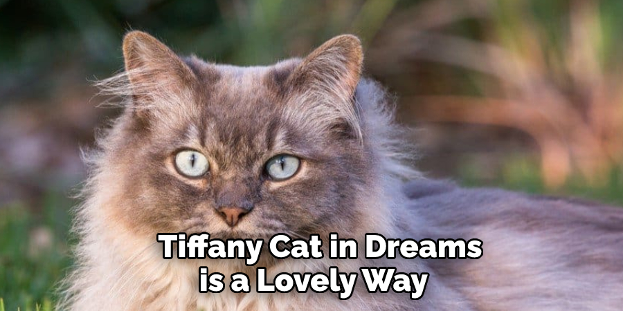 Tiffany Cat in Dreams is a Lovely Way