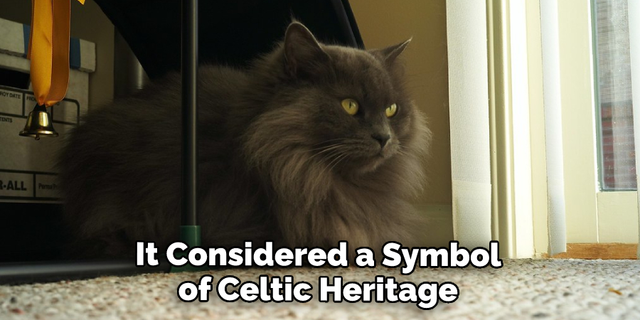 Tiffany Cat is Considered a Symbol of Celtic Heritage