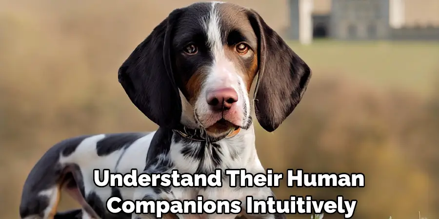 Understand Their Human Companions Intuitively