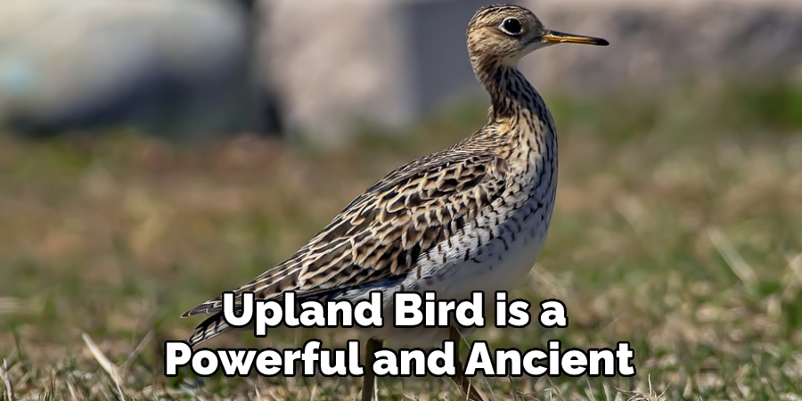 Upland Bird is a Powerful and Ancient