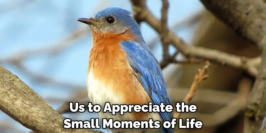  Us to Appreciate the Small Moments of Life