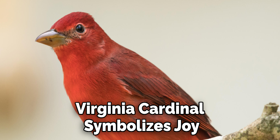 Virginia Cardinal Symbolizes Joy