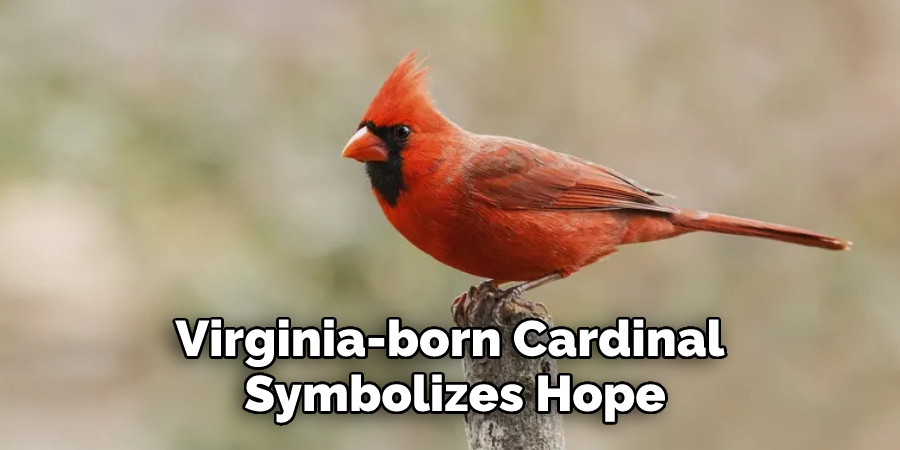Virginia-born Cardinal Symbolizes Hope