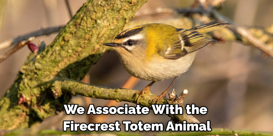 We Associate With the Firecrest Totem Animal