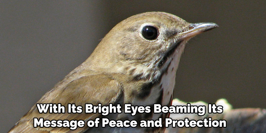  With Its Bright Eyes Beaming Its Message of Peace and Protection