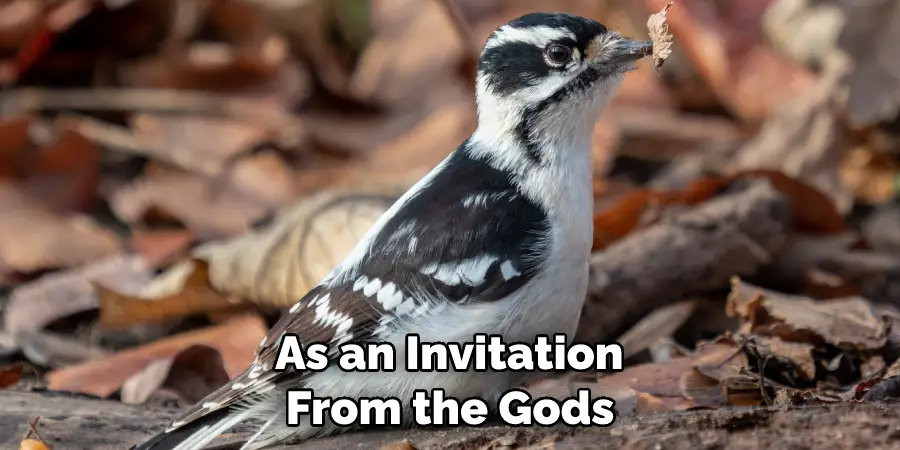  as an Invitation From the Gods