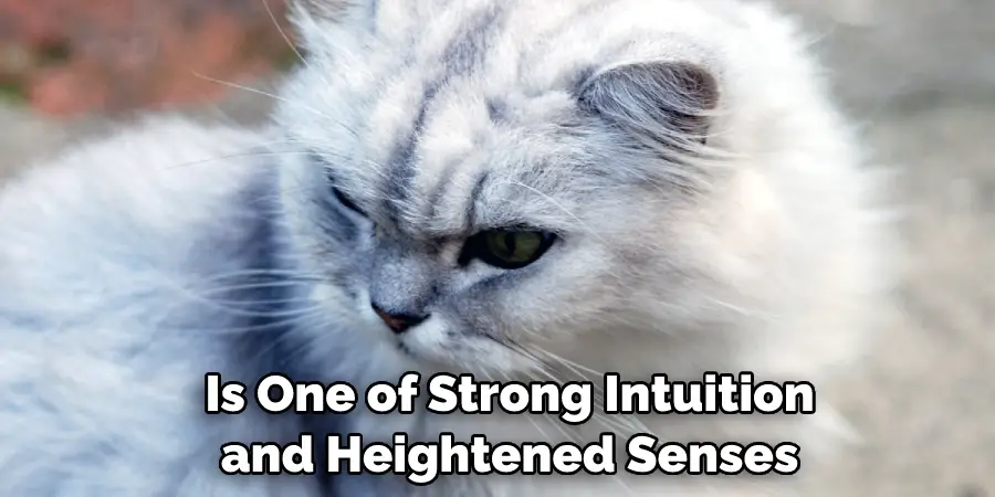  Is One of Strong Intuition and Heightened Senses