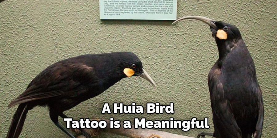 A Huia Bird Tattoo is a Meaningful 