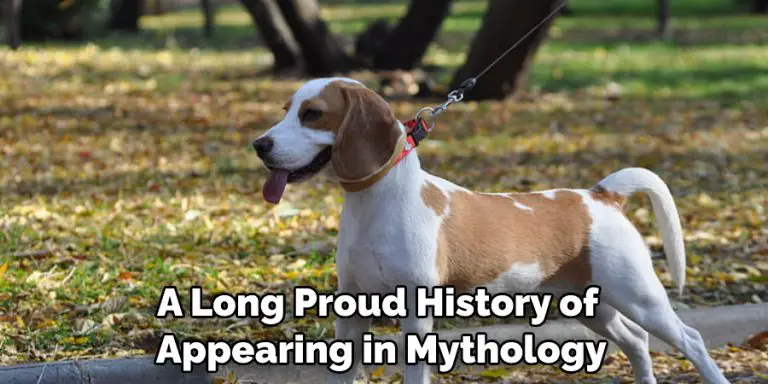 Beagle Spiritual Meaning, Symbolism and Totem | Explained (2026)