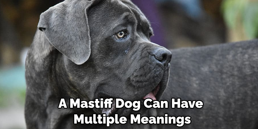 A Mastiff Dog Can Have Multiple Meanings