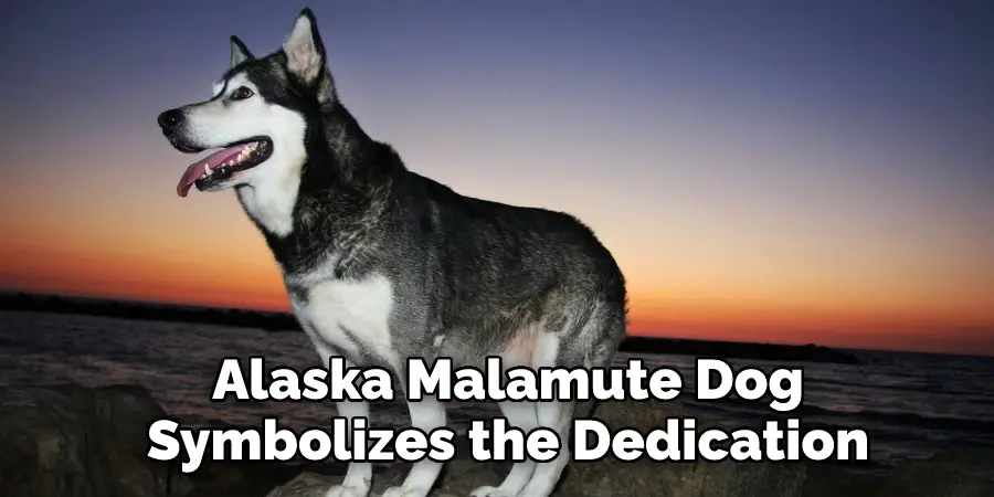 Alaska Malamute Dog 
Symbolizes the Dedication