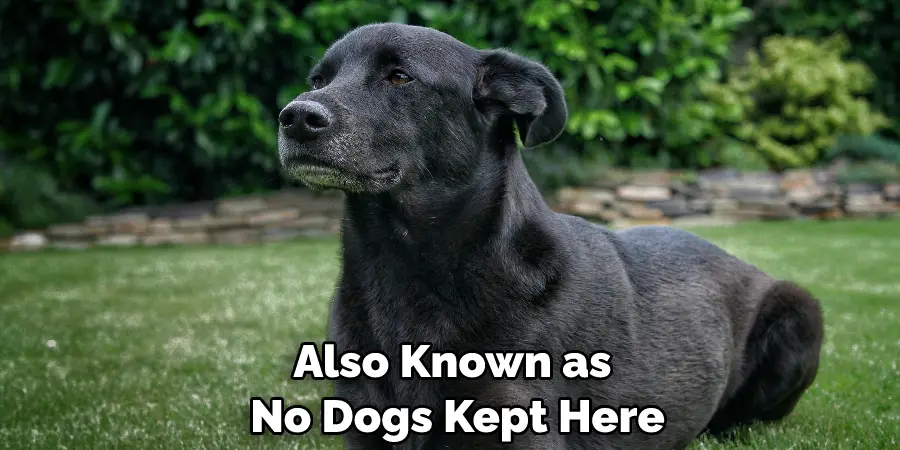 Also Known as 
No Dogs Kept Here