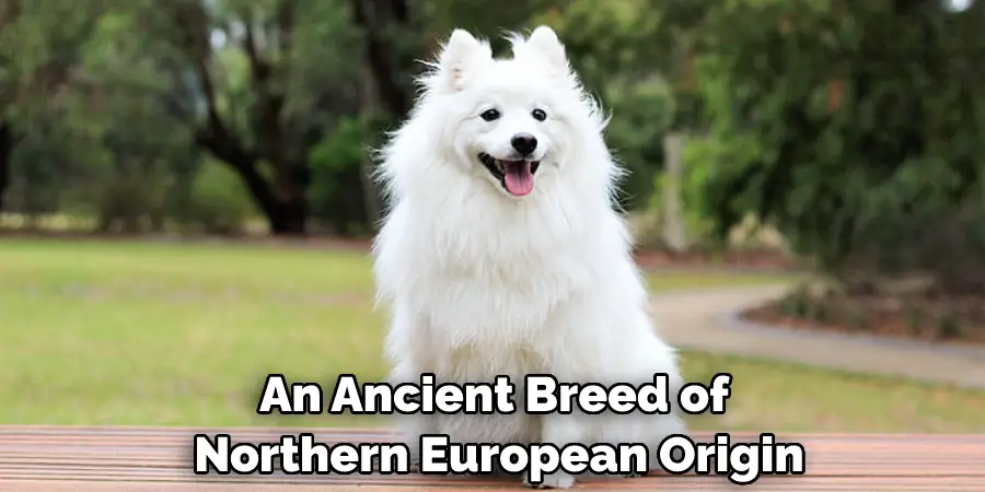 An Ancient Breed of Northern European Origin