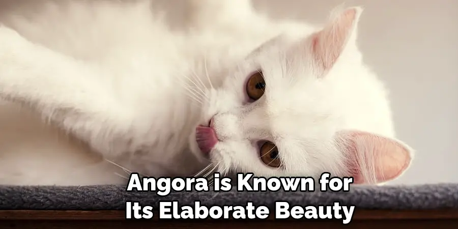 Angora is Known for Its Elaborate Beauty 