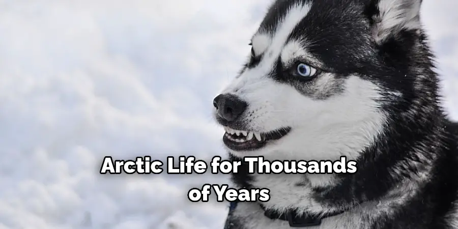 Arctic Life for Thousands of Years