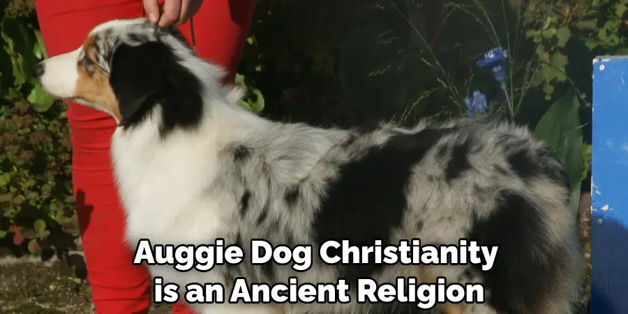 Auggie Dog Christianity is an Ancient Religion