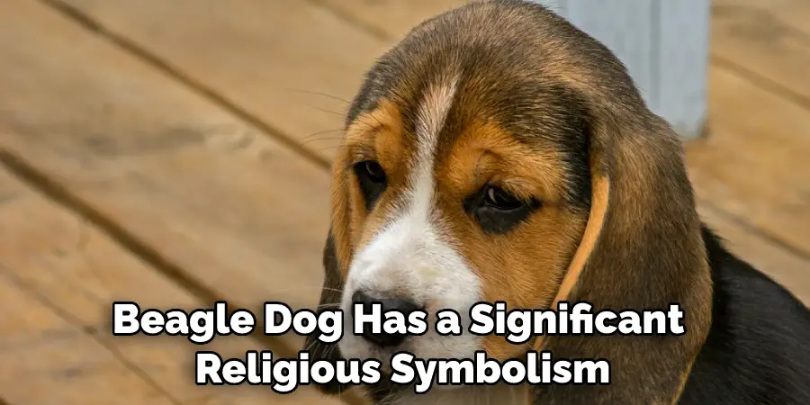 Beagle Dog Has a Significant Religious Symbolism
