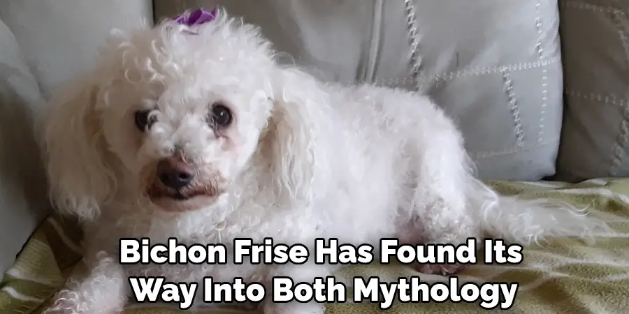 Bichon Frise Has Found Its Way Into Both Mythology