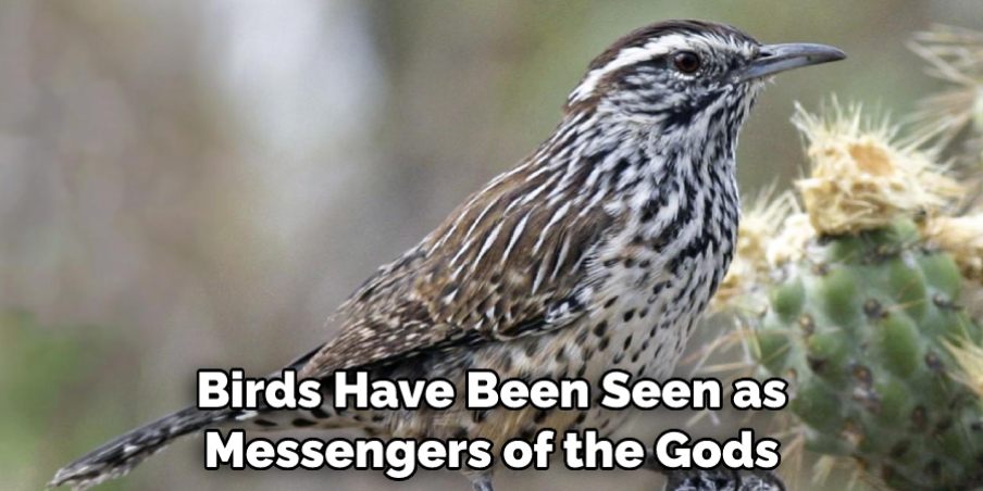  Birds Have Been Seen as Messengers of the Gods