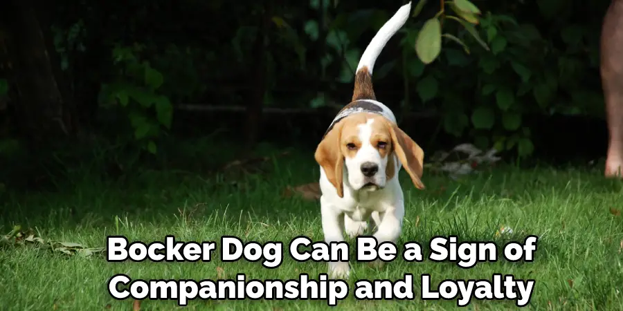  Bocker Dog Can Be a Sign of Companionship and Loyalty