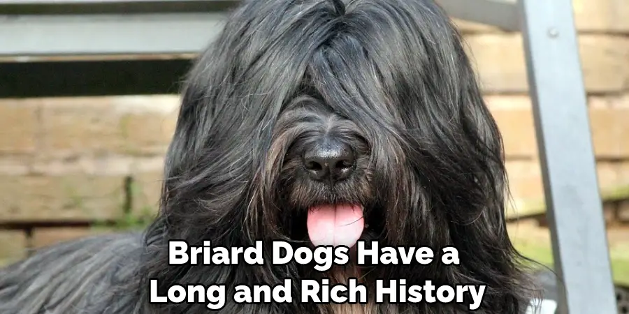 Briard Dogs Have a Long and Rich History