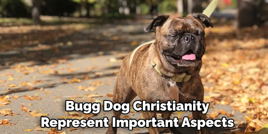  Bugg Dog Christianity Represent Important Aspects