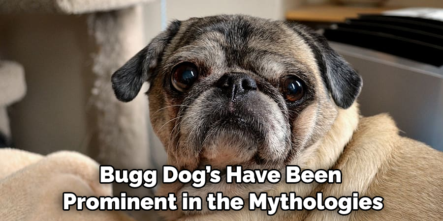 Bugg Dog’s Have Been Prominent in the Mythologies