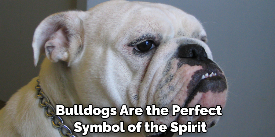 Bulldogs Are the Perfect Symbol of the Spirit