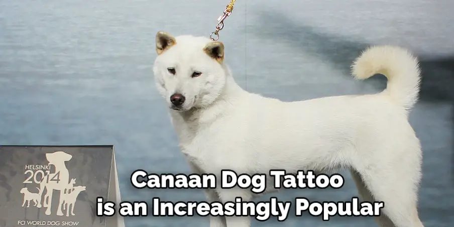 Canaan Dog Tattoo is an Increasingly Popular