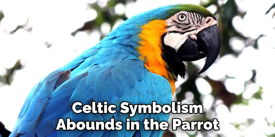 Celtic Symbolism Abounds in the Parrot