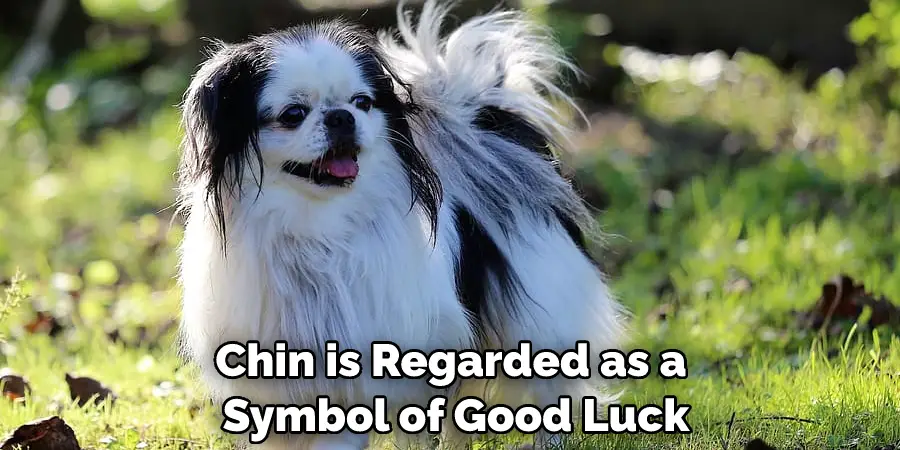 Chin is Regarded as a Symbol of Good Luck