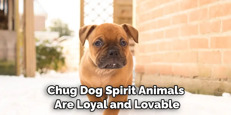 Chug Dog Spirit Animals Are Loyal and Lovable