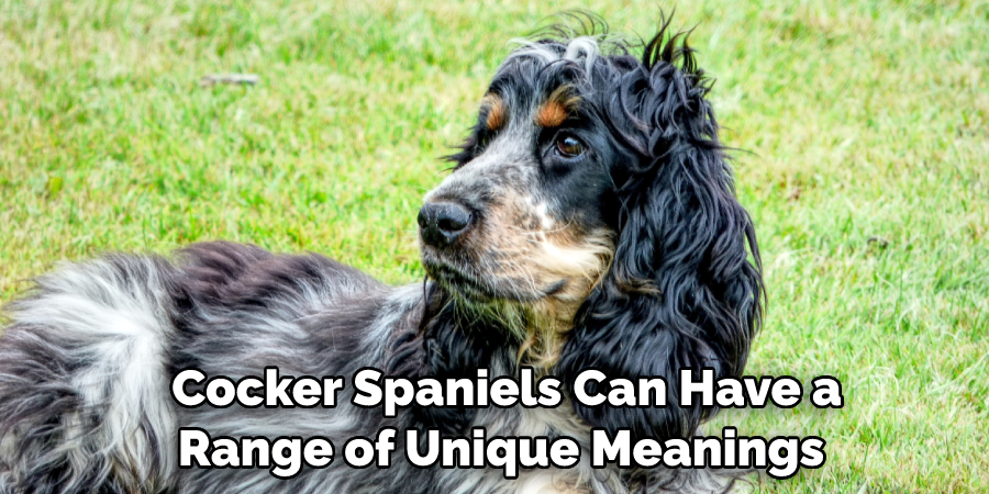  Cocker Spaniels Can Have a Range of Unique Meanings 