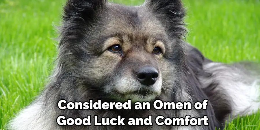 Considered an Omen of Good Luck and Comfort