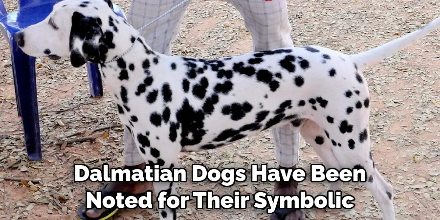 Dalmatian Dogs Have Been Noted for Their Symbolic