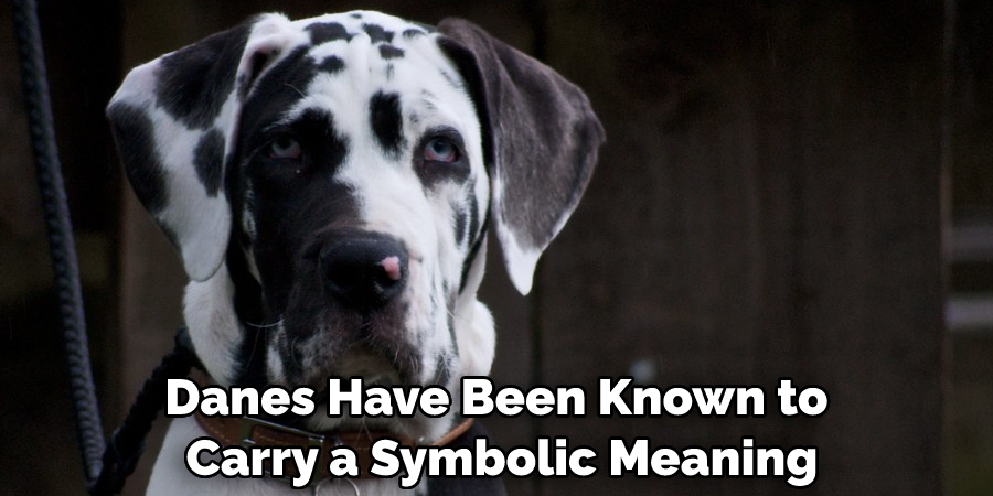 Danes Have Been Known to Carry a Symbolic Meaning